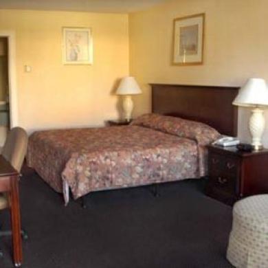 Super 8 By Wyndham Dover Motel Room photo